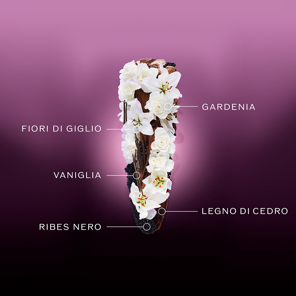 Ginza Night Eau De Parfum Intense, 